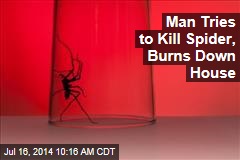 Man Tries to Kill Spider, Burns Down House