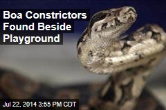 pet boa constrictor in mobile home park