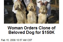 Woman Orders Clone of Beloved Dog for $150K