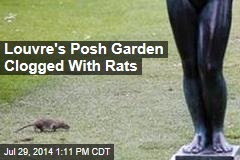 Louvre&#39;s Posh Garden Clogged With Rats
