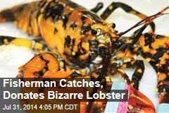 Fisherman Catches, Donates Bizarre Lobster