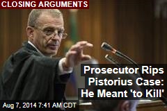 Prosecutor Rips Pistorius Case: He Meant &#39;to Kill&#39;