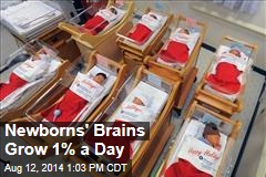 Newborn&#39;s Brains Grow 1% a Day