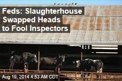 Feds: Slaughterhouse Swapped Heads to Fool Inspectors
