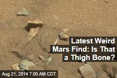Mysterious Mars Find Looks Like a Bone