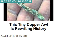 This Tiny Copper Awl Is Rewriting History