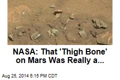 NASA: That &#39;Thigh Bone&#39; on Mars Was Really a...