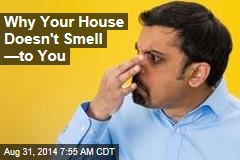 Why Your House Doesn&#39;t Smell &mdash;to You