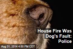House Fire Was Dog&#39;s Fault: Police