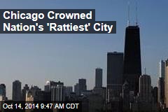 Chicago Crowned Nation&#39;s &#39;Rattiest&#39; City