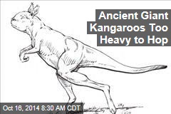 Ancient Giant Kangaroos Too Heavy to Hop