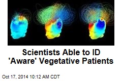 Scientists Able to ID &#39;Aware&#39; Vegetative Patients