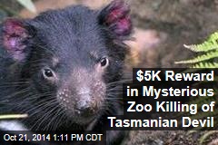 $5K Reward in Mysterious Zoo Killing of Tasmanian Devil