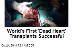 World&#39;s First &#39;Dead Heart&#39; Transplants Successful