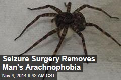 Seizure Surgery Removes Man&#39;s Arachnophobia