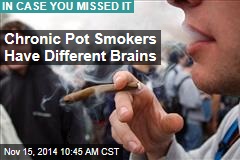 Chronic Pot Smokers Have Different Brains, Lower IQs