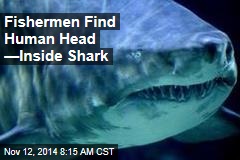 Fishermen Find Human Head &mdash;Inside Shark