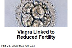 Viagra Linked to Reduced Fertility