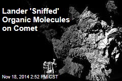 Lander &#39;Sniffed&#39; Organic Molecules on Comet