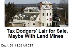 Tax Dodgers&#39; Lair for Sale, Maybe With Land Mines