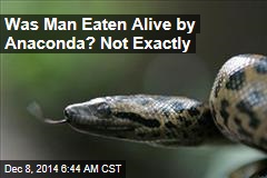 Eaten Alive Guy Needs Rescue From Anaconda