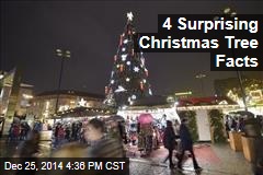 4 Surprising Christmas Tree Facts