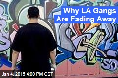 Why LA Gangs Are Fading Away