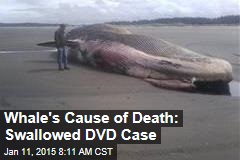 Whale&#39;s Cause of Death: Swallowed DVD Case