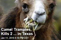 Camel Tramples, Kills 2 in Texas