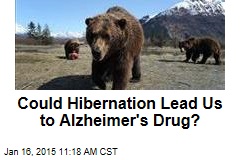 Could Hibernation Lead Us to Alzheimer&#39;s Drug?