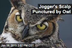 Jogger Attacked by Owl