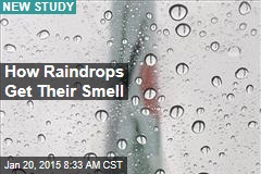 How Raindrops Get Their Smell