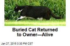 &#39;Dead&#39; Cat Digs His Way Out of Grave