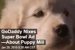 GoDaddy Nixes Super Bowl Ad &mdash;About Puppy Mill