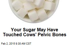 Your Sugar May Have Touched Cows&#39; Pelvic Bones