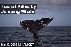 Jumping Whale Kills Whale Watcher
