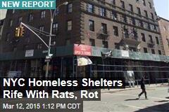NYC Homeless Shelters Rife With Rats, Rot