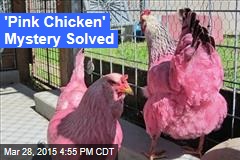 &#39;Pink Chicken&#39; Mystery Solved