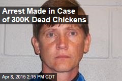 Arrest Made in Case of 300K Dead Chickens