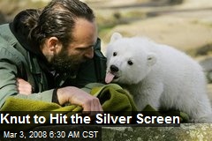 Knut to Hit the Silver Screen