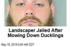 Landscaper Jailed After Mowing Down Ducklings