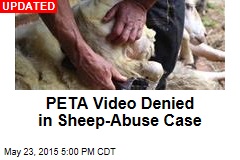 Sheep Suffer Verbal Abuse, PETA Claims