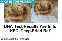 DNA Test Results Are In for KFC &#39;Deep-Fried Rat&#39;