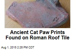 Ancient Cat Paw Prints Found on Roman Roof Tile