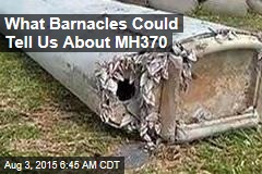 What Barnacles Could Tell Us About MH370