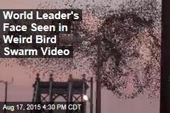 Viral Video Shows &#39;Putin&#39;s Face&#39; in Flock of Birds