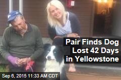 Pair Finds Dog Lost 42 Days in Yellowstone