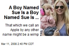 A Boy Named Sue Is a Boy Named Sue Is ...