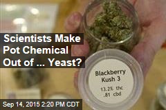 Scientists Make Pot Chemical Out of ... Yeast?