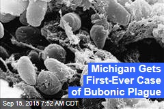 Michigan Gets First-Ever Case of Bubonic Plague